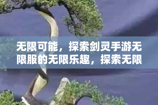 无限可能,探索剑灵手游无限服的无限乐趣,探索无限,剑灵手游无限服乐趣揭秘 无限可能,探索剑灵手游无限服的无限乐趣,探索无限,剑灵手游无限服乐趣揭秘