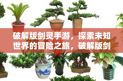 破解版剑灵手游,探索未知世界的冒险之旅,破解版剑灵手游,开启探索未知世界的冒险之旅 破解版剑灵手游,探索未知世界的冒险之旅,破解版剑灵手游,开启探索未知世界的冒险之旅