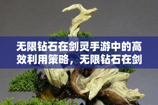 无限钻石在剑灵手游中的高效利用策略，无限钻石在剑灵手游中的高效利用策略