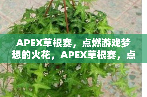 APEX草根赛，点燃游戏梦想的火花，APEX草根赛，点燃游戏梦想的火花
