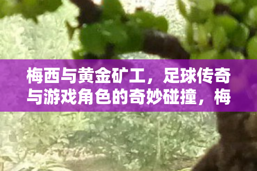 梅西与黄金矿工，足球传奇与游戏角色的奇妙碰撞，梅西与黄金矿工，足球传奇与游戏角色的跨界碰撞