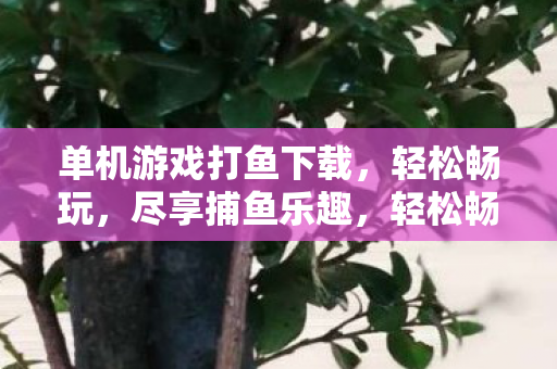 单机游戏打鱼下载,轻松畅玩,尽享捕鱼乐趣,轻松畅玩捕鱼游戏,尽享单机打鱼乐趣 单机游戏打鱼下载,轻松畅玩,尽享捕鱼乐趣,轻松畅玩捕鱼游戏,尽享单机打鱼乐趣