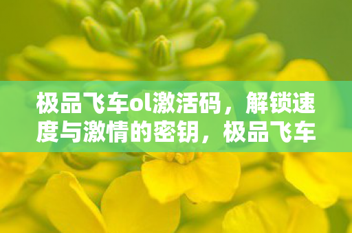 极品飞车ol激活码，解锁速度与激情的密钥，极品飞车OL，解锁速度与激情的密钥