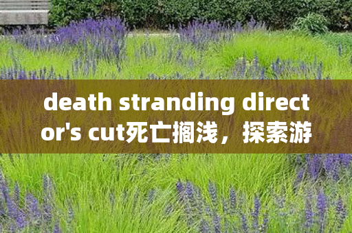 death stranding director's cut死亡搁浅，探索游戏背后的深层意义，死亡搁浅，探索游戏深层意义
