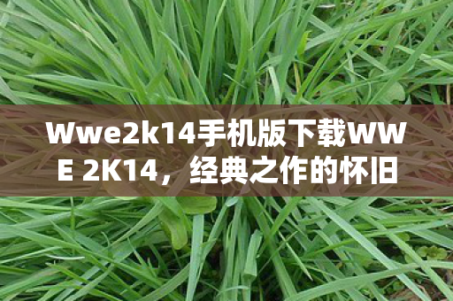 Wwe2k14手机版下载WWE 2K14,经典之作的怀旧之旅,WWE 2K14手机版下载,经典之作的怀旧之旅开启 Wwe2k14手机版下载WWE 2K14,经典之作的怀旧之旅,WWE 2K14手机版下载,经典之作的怀旧之旅开启
