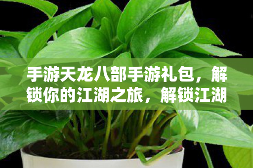 手游天龙八部手游礼包,解锁你的江湖之旅,解锁江湖之旅,手游天龙八部手游礼包来袭 手游天龙八部手游礼包,解锁你的江湖之旅,解锁江湖之旅,手游天龙八部手游礼包来袭