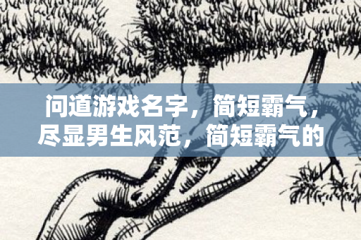 问道游戏名字，简短霸气，尽显男生风范，简短霸气的男生游戏名字
