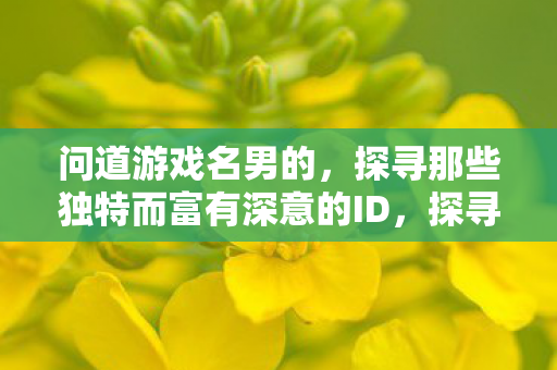 问道游戏名男的,探寻那些独特而富有深意的ID,探寻深意,问道游戏中那些独特而富有男性魅力的名字 问道游戏名男的,探寻那些独特而富有深意的ID,探寻深意,问道游戏中那些独特而富有男性魅力的名字