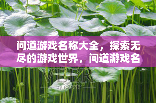 问道游戏名称大全，探索无尽的游戏世界，问道游戏名字大全，探索无限可能的游戏世界