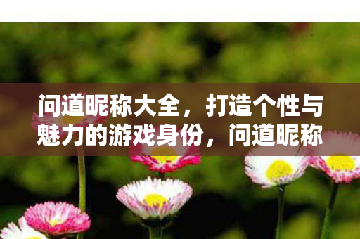 问道昵称大全，打造个性与魅力的游戏身份，问道昵称大全，打造个性与魅力的游戏身份