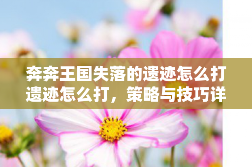 奔奔王国失落的遗迹怎么打遗迹怎么打，策略与技巧详解，奔奔王国失落的遗迹，策略与技巧详解