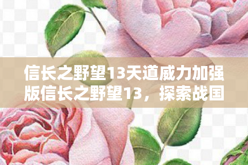 信长之野望13天道威力加强版信长之野望13，探索战国时代的风云变幻，信长之野望13探索战国风云，天道威力加强版震撼来袭！