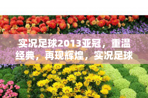 实况足球2013亚冠，重温经典，再现辉煌，实况足球2013亚冠，重温经典，再现辉煌
