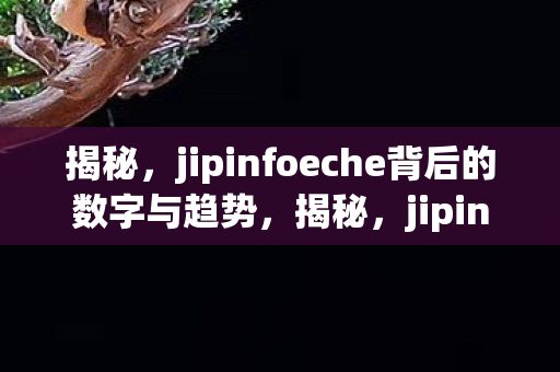 揭秘，jipinfoeche背后的数字与趋势，揭秘，jipinfoeche背后的数字与趋势