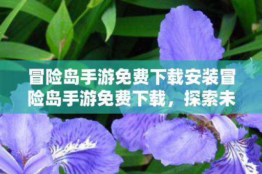 冒险岛手游免费下载安装冒险岛手游免费下载,探索未知世界的奇妙之旅,冒险岛手游免费下载,开启探索未知世界的奇妙之旅 冒险岛手游免费下载安装冒险岛手游免费下载,探索未知世界的奇妙之旅,冒险岛手游免费下载,开启探索未知世界的奇妙之旅