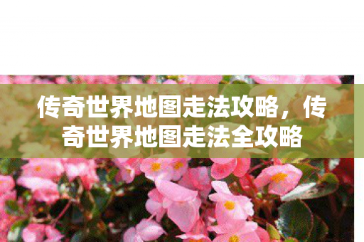 传奇世界地图走法攻略,传奇世界地图走法全攻略 传奇世界地图走法攻略,传奇世界地图走法全攻略
