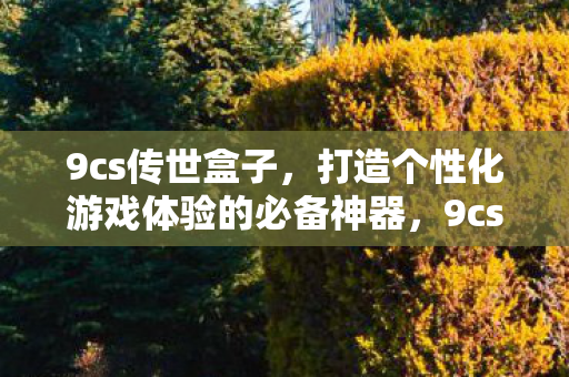 9cs传世盒子，打造个性化游戏体验的必备神器，9cs传世盒子，打造个性化游戏体验的必备利器