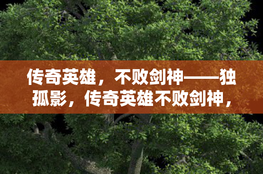 传奇英雄，不败剑神——独孤影，传奇英雄不败剑神，独孤影的传奇故事