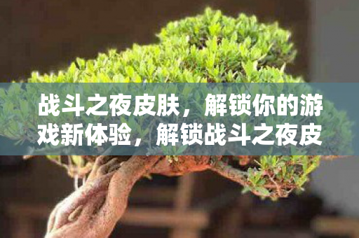 战斗之夜皮肤,解锁你的游戏新体验,解锁战斗之夜皮肤,开启游戏新体验 战斗之夜皮肤,解锁你的游戏新体验,解锁战斗之夜皮肤,开启游戏新体验