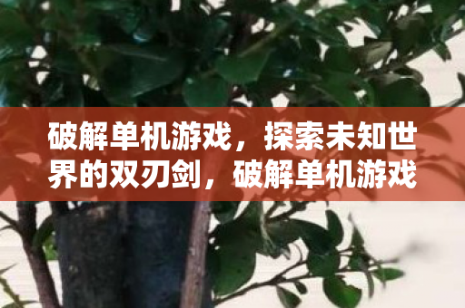 破解单机游戏，探索未知世界的双刃剑，破解单机游戏，探索未知世界的双刃剑