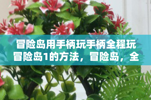 冒险岛用手柄玩手柄全程玩冒险岛1的方法，冒险岛，全程手柄玩法攻略