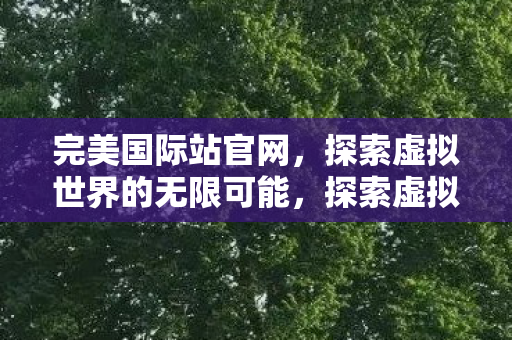 完美国际站官网，探索虚拟世界的无限可能，探索虚拟世界的无限可能，完美国际站官网