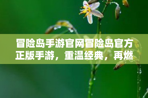 冒险岛手游官网冒险岛官方正版手游，重温经典，再燃激情，冒险岛手游官网，重温经典，再燃激情