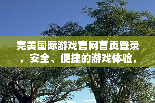 完美国际游戏官网首页登录,安全、便捷的游戏体验,完美国际游戏官网,安全、便捷的游戏体验登录平台 完美国际游戏官网首页登录,安全、便捷的游戏体验,完美国际游戏官网,安全、便捷的游戏体验登录平台
