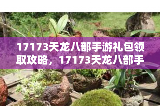 17173天龙八部手游礼包领取攻略,17173天龙八部手游礼包领取全攻略 17173天龙八部手游礼包领取攻略,17173天龙八部手游礼包领取全攻略