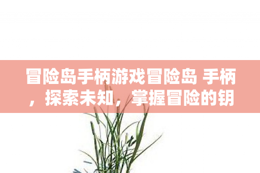 冒险岛手柄游戏冒险岛 手柄,探索未知,掌握冒险的钥匙,冒险岛手柄,探索未知,掌握冒险的钥匙 冒险岛手柄游戏冒险岛 手柄,探索未知,掌握冒险的钥匙,冒险岛手柄,探索未知,掌握冒险的钥匙