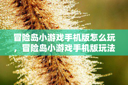 冒险岛小游戏手机版怎么玩，冒险岛小游戏手机版玩法指南