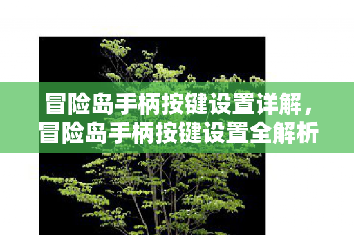冒险岛手柄按键设置详解，冒险岛手柄按键设置全解析