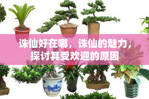诛仙好在哪,诛仙的魅力,探讨其受欢迎的原因 诛仙好在哪,诛仙的魅力,探讨其受欢迎的原因