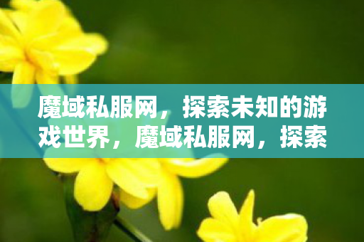 魔域私服网，探索未知的游戏世界，魔域私服网，探索未知的游戏世界