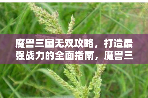 魔兽三国无双攻略，打造最强战力的全面指南，魔兽三国无双，打造最强战力全面攻略