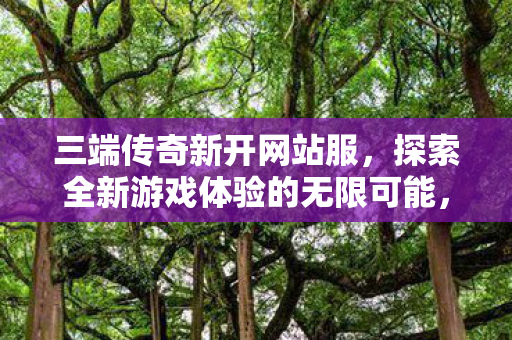 三端传奇新开网站服，探索全新游戏体验的无限可能，三端传奇新开网站服，探索全新游戏体验的无限可能