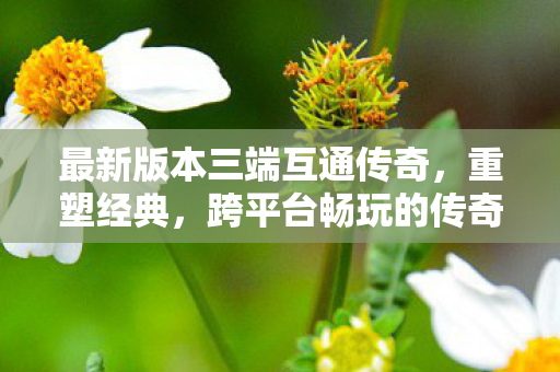 最新版本三端互通传奇，重塑经典，跨平台畅玩的传奇新篇章，三端互通传奇，重塑经典，跨平台畅玩的传奇新篇章