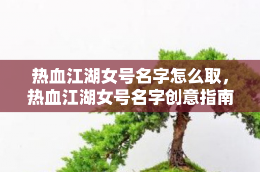 热血江湖女号名字怎么取，热血江湖女号名字创意指南