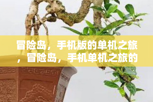 冒险岛,手机版的单机之旅,冒险岛,手机单机之旅的冒险体验 冒险岛,手机版的单机之旅,冒险岛,手机单机之旅的冒险体验