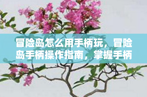 冒险岛怎么用手柄玩，冒险岛手柄操作指南，掌握手柄技巧，畅享游戏乐趣