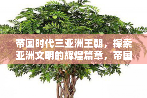 帝国时代三亚洲王朝，探索亚洲文明的辉煌篇章，帝国时代三亚洲王朝，探索亚洲文明的辉煌篇章