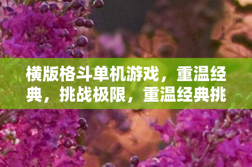 横版格斗单机游戏，重温经典，挑战极限，重温经典挑战极限，横版格斗单机游戏
