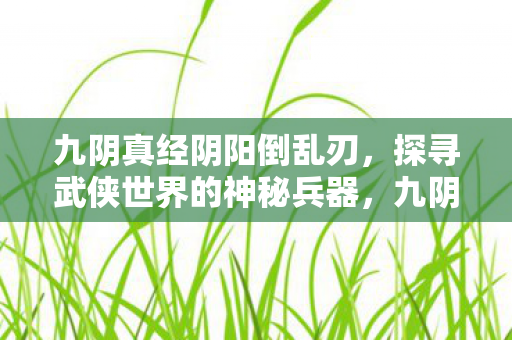 九阴真经阴阳倒乱刃，探寻武侠世界的神秘兵器，九阴真经阴阳倒乱刃，探寻武侠世界的神秘兵器