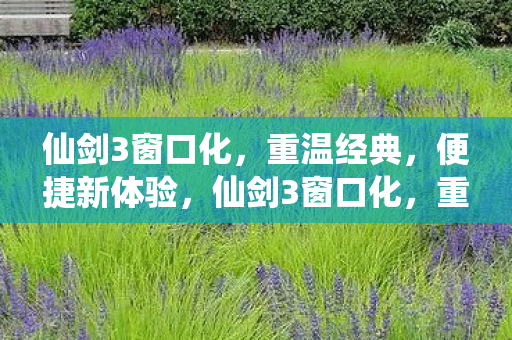 仙剑3窗口化，重温经典，便捷新体验，仙剑3窗口化，重温经典，便捷新体验
