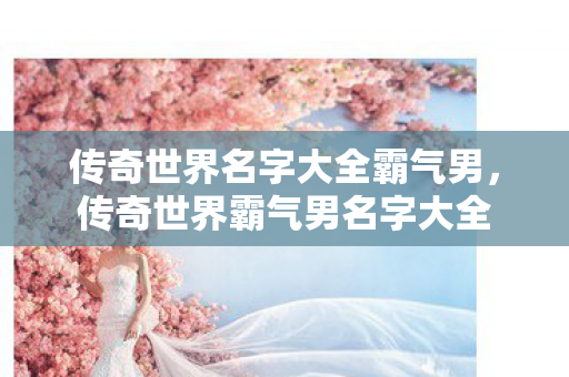 传奇世界名字大全霸气男，传奇世界霸气男名字大全