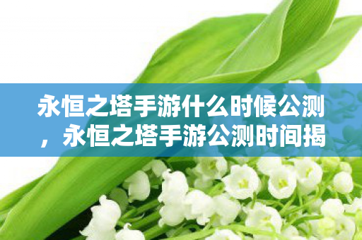 永恒之塔手游什么时候公测，永恒之塔手游公测时间揭晓