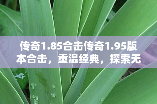 传奇1.85合击传奇1.95版本合击，重温经典，探索无限可能，重温经典，探索无限可能，传奇1.85合击与1.95版本合击
