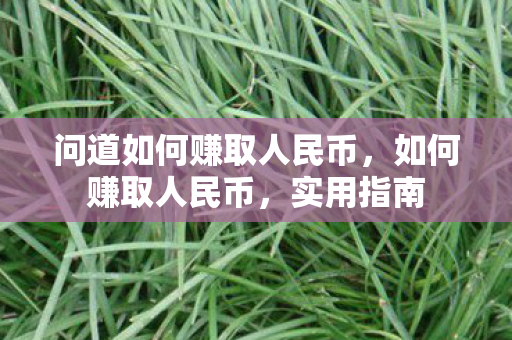 问道如何赚取人民币，如何赚取人民币，实用指南