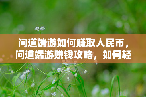 问道端游如何赚取人民币，问道端游赚钱攻略，如何轻松赚取人民币？
