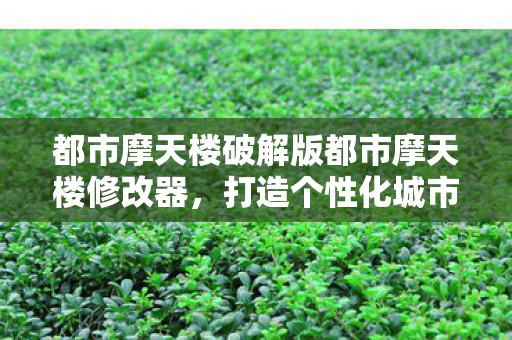 都市摩天楼破解版都市摩天楼修改器，打造个性化城市天际线的创意工具，都市摩天楼破解版，打造个性化城市天际线的创意工具